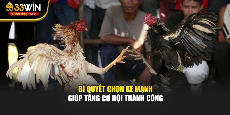 Bí quyết chọn kê mạnh giúp tăng cơ hội thành công