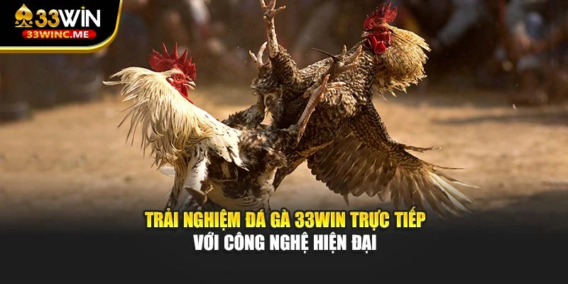 Trải nghiệm đá gà 33WIN trực tiếp với công nghệ hiện đại
